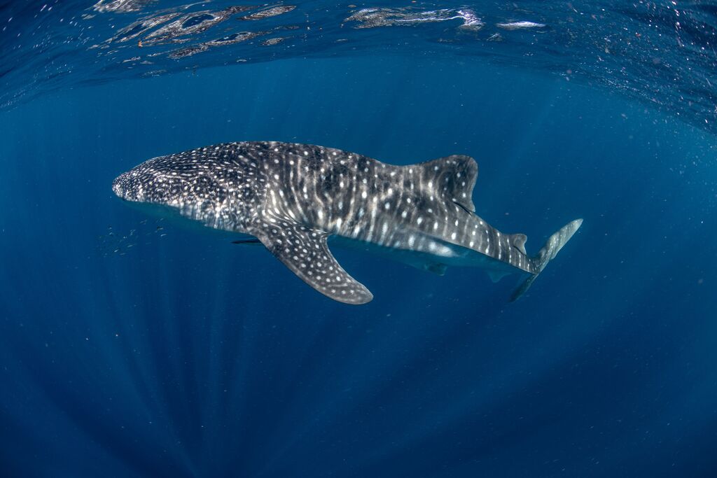 9357b72a-d7e3-4d26-807d-7008996399d8