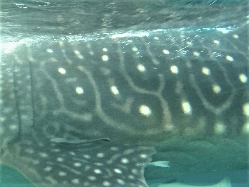 25bd615c-8b63-4042-82a2-12fcdb2dfe38