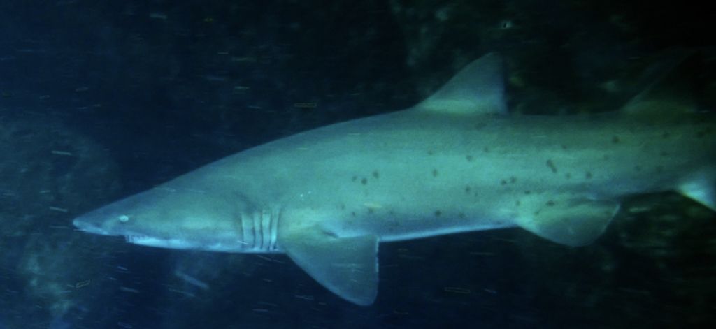 b9f284f8-551c-4363-806a-d49711cf3697