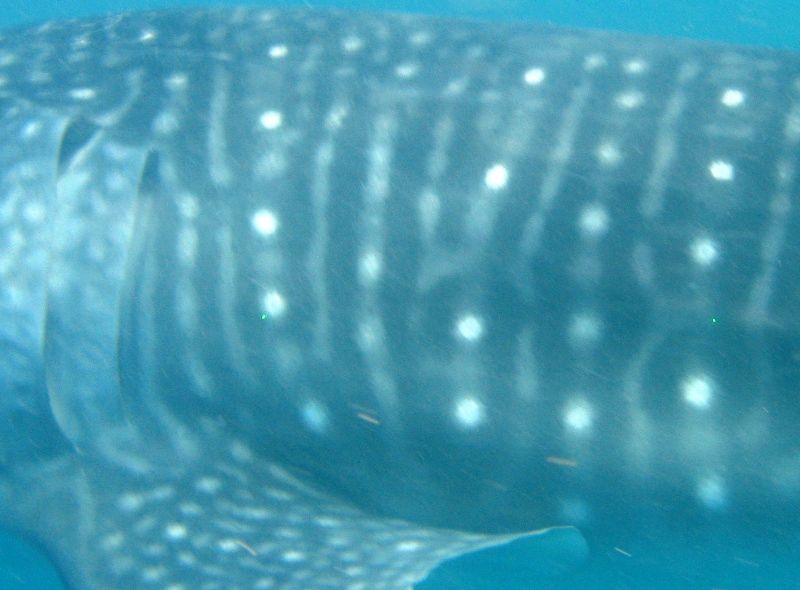 43c43291-96c5-4e91-af70-5a27df9ebdb4