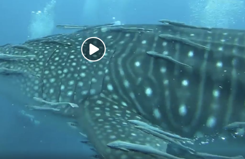 3b550c31-3152-4462-aaa8-76f44a35848d