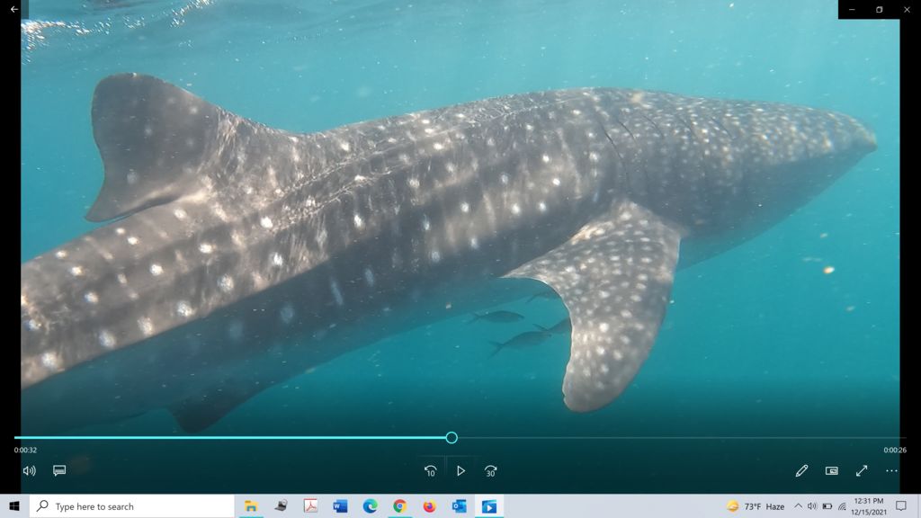 984fa420-b09d-4102-8d1b-dd81f2966cc3