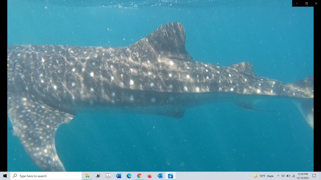 984fa420-b09d-4102-8d1b-dd81f2966cc3