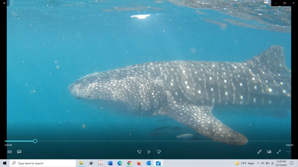 984fa420-b09d-4102-8d1b-dd81f2966cc3