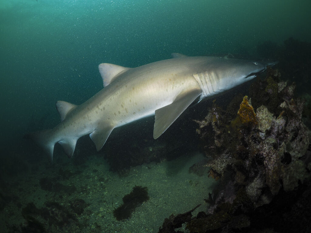 2cb02616-1f23-4ad2-9da3-4f919554f3b0