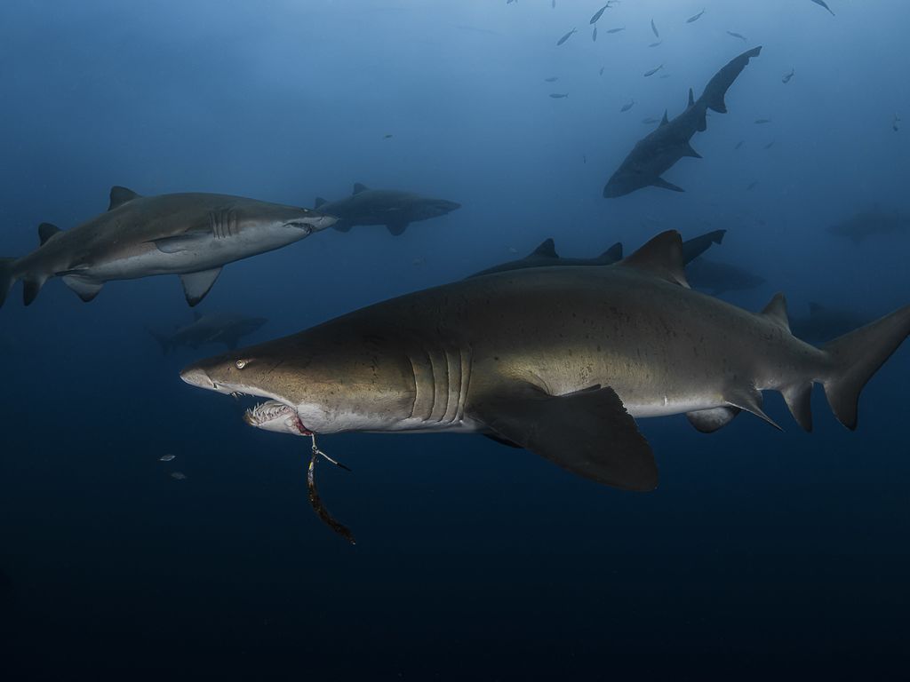 388cfbf1-7e07-45e4-a890-40c393ba6d2d