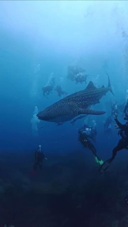 01639293-bcfe-4525-9a83-2d422a5d8174