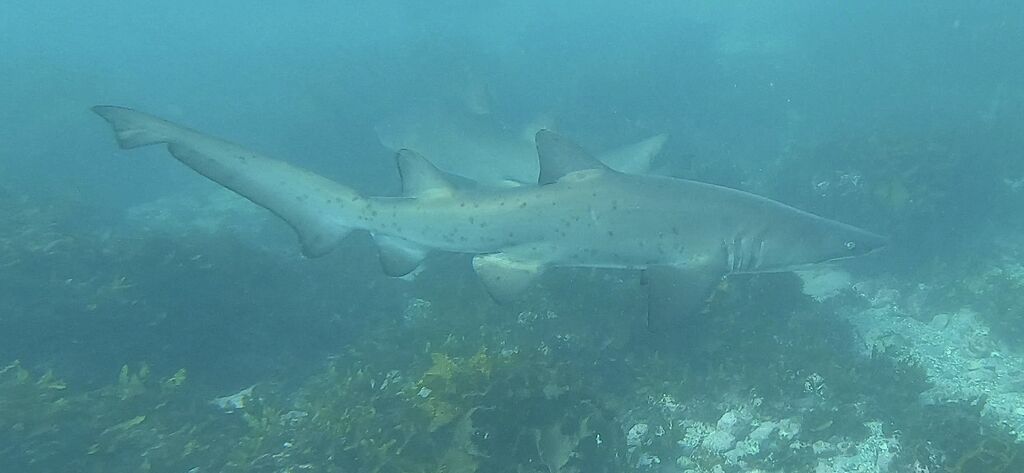 8735e625-44d3-4ce2-9b5b-2e93627f4c48