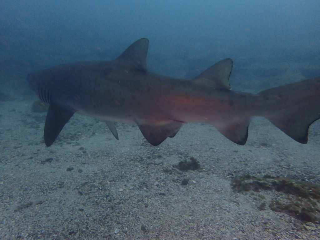 bd586eaf-e3a6-4f07-a372-6f8804183438