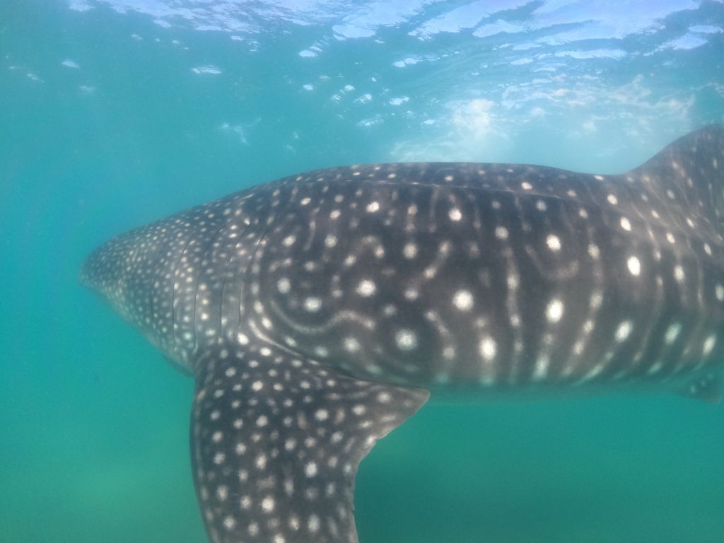 d135c266-acc1-45ed-8ec4-b205693f01ea