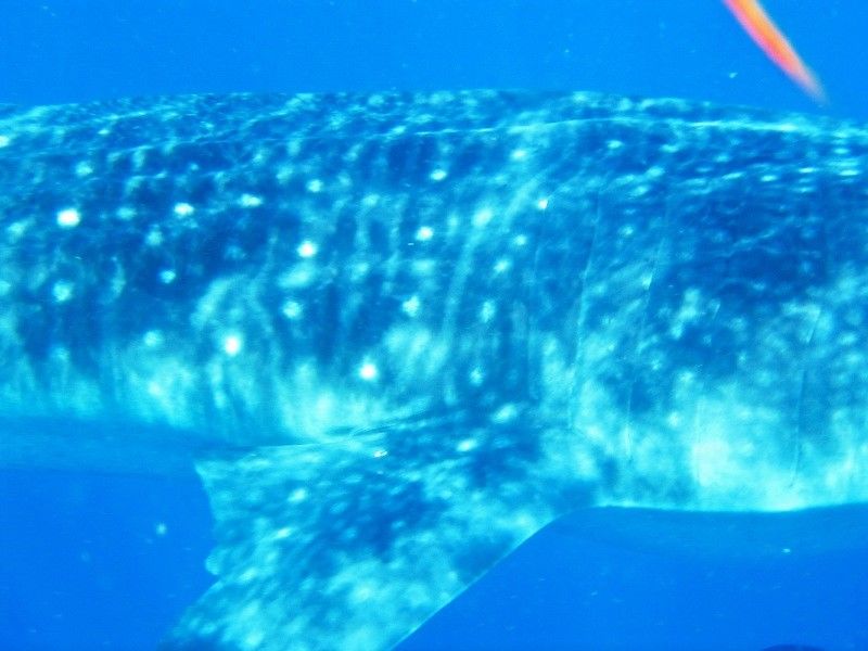 77783eda-175e-4052-bc9b-ed4013a994f0