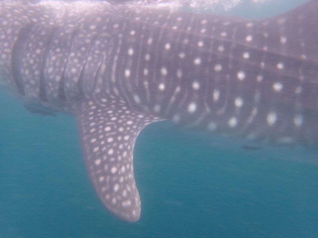 fe0542e4-88d0-43d1-b6cc-e02082ac3bc9