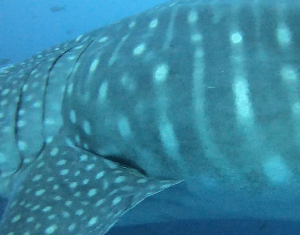 93b44dd4-3d73-4b84-910a-a7e2dc7a47de