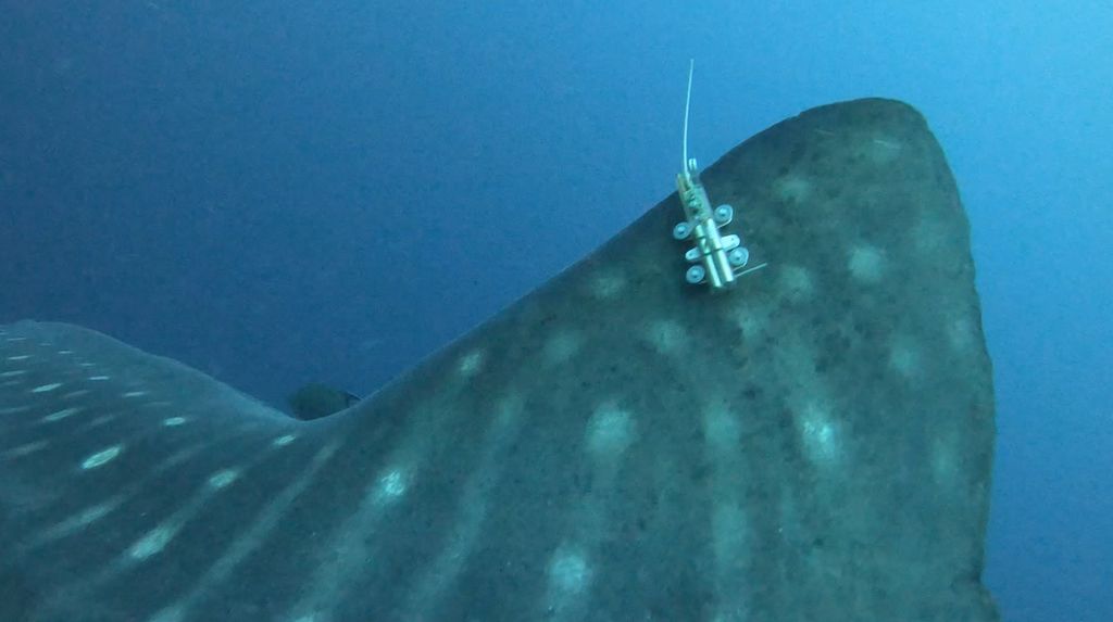 93b44dd4-3d73-4b84-910a-a7e2dc7a47de