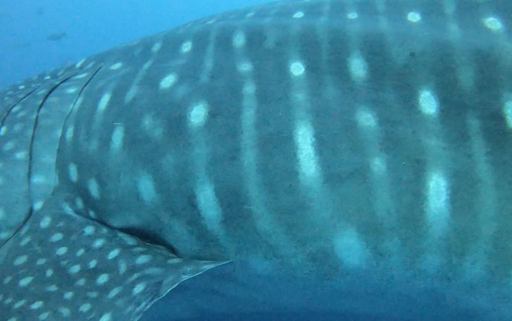 93b44dd4-3d73-4b84-910a-a7e2dc7a47de