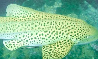 8d9846a6-427d-4882-a668-b2535d14a224