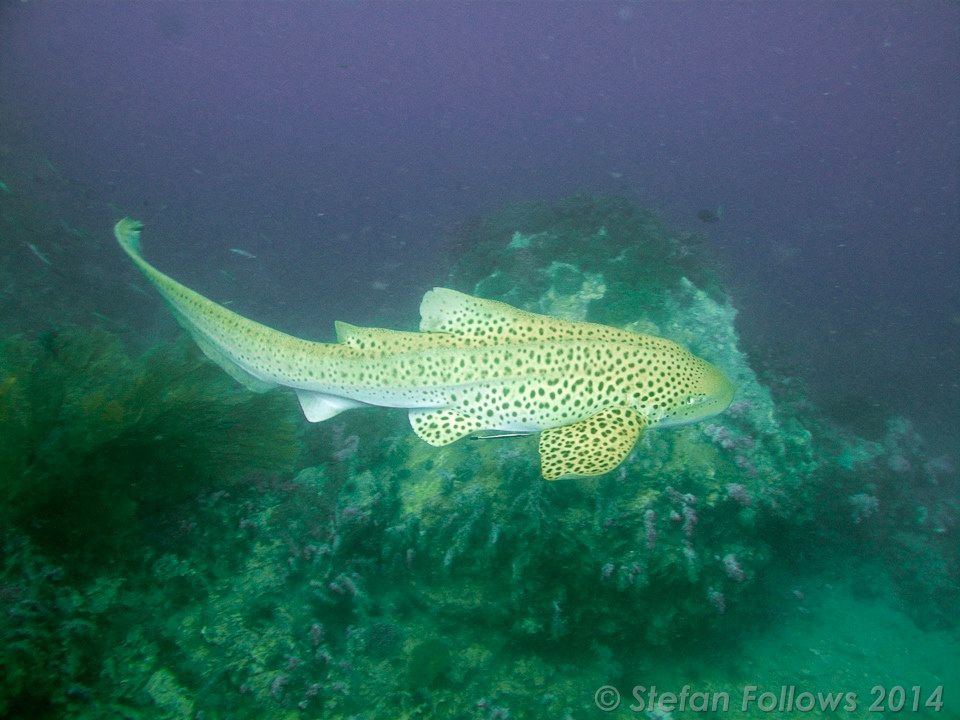 8d9846a6-427d-4882-a668-b2535d14a224