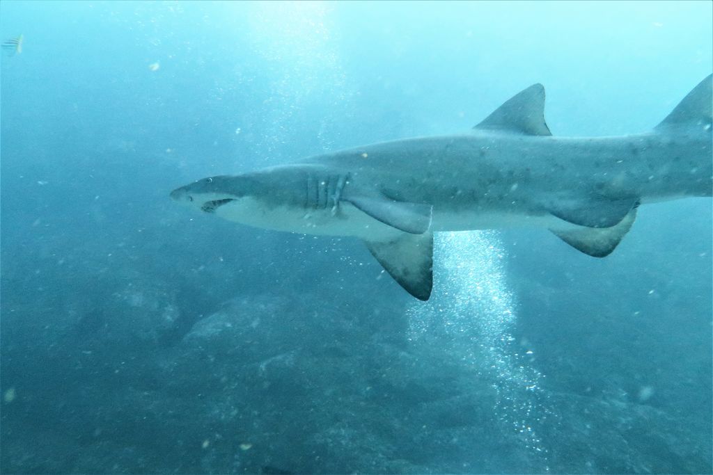 ecbfb8e9-af73-44e5-a0cb-eef308f5299d