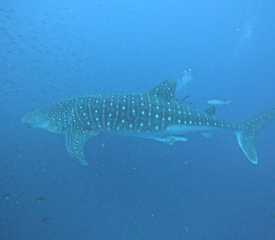 a4f614ae-aece-4747-9576-23612b0ae908