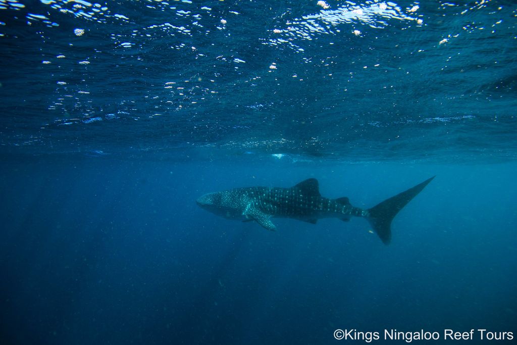 b378c918-16fd-4646-a83f-f6597f280a61