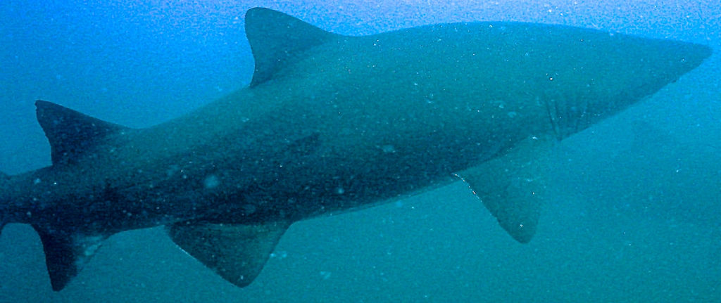 2b111575-0eb8-44b6-98a7-74fca564a6c7