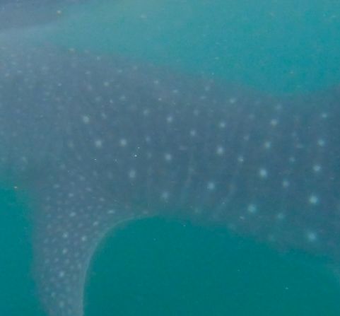 26daf2e4-d752-44f2-9158-a5e06bd33fc3