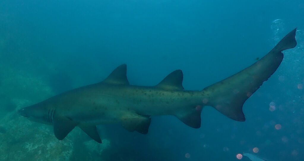 826e55a3-d9d2-4039-ae3a-4a1a5185eb2e