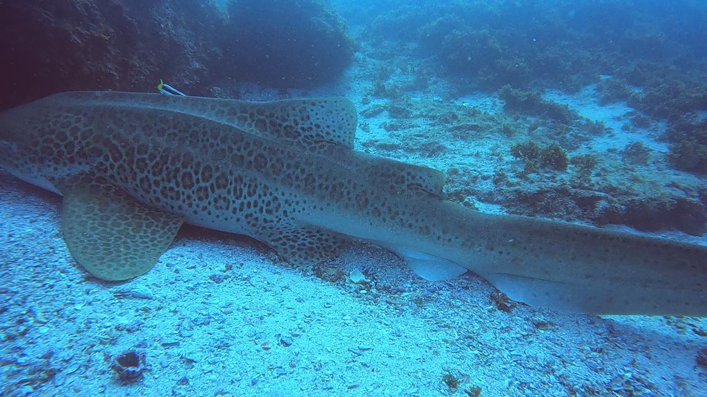 50df2b09-2869-4002-a78e-69ba8df70eb7