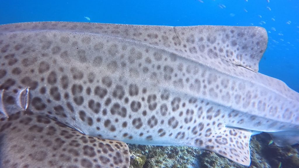 17151356-a4e7-4731-9fd0-2fc882367783