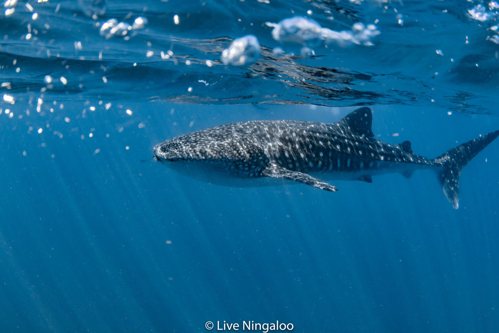 1aa9c1bc-9cb7-49e6-bc8c-5268010945f9