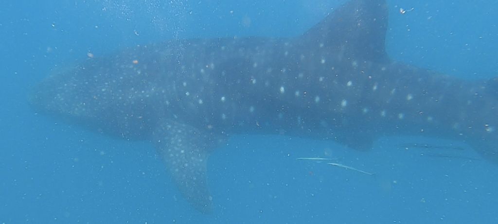 cbe780ef-aa65-4361-9bfb-5cb980b816f7