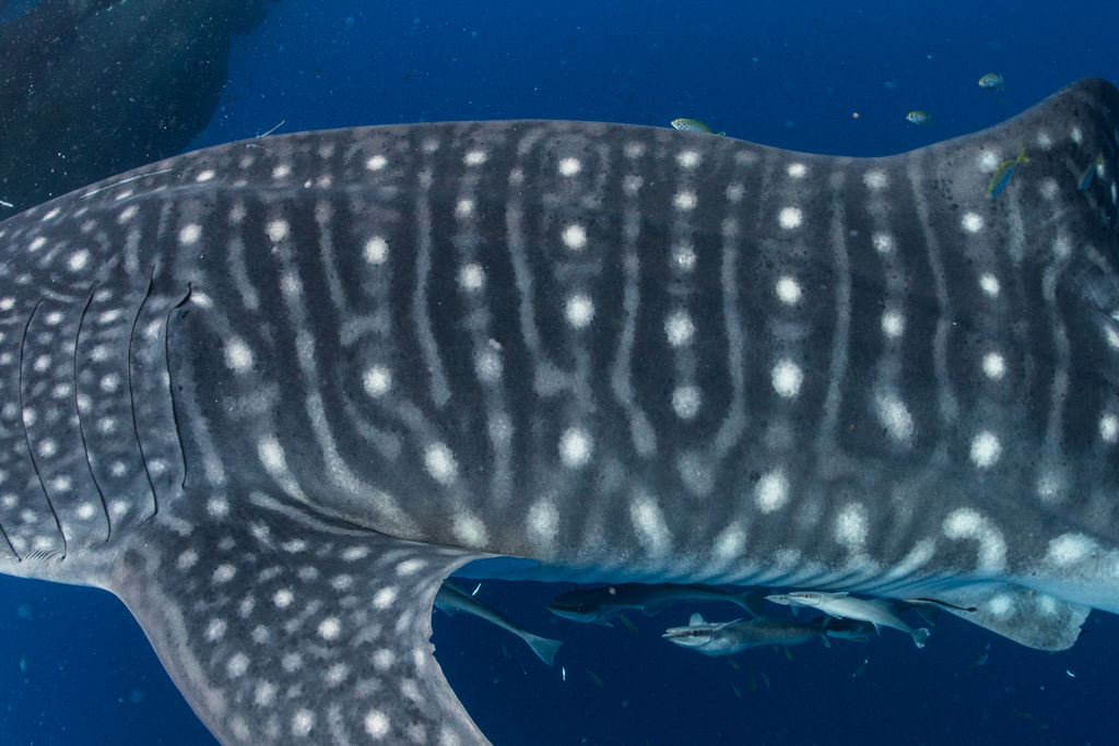 e984f204-ad3d-4904-b5b5-f2f1709ef2e0