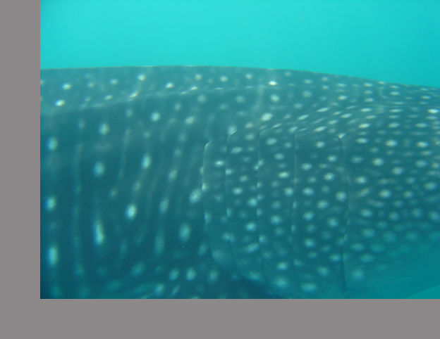 f2b993c6-fd0a-41a0-a91b-74a751978bb1