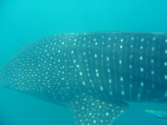 f2b993c6-fd0a-41a0-a91b-74a751978bb1