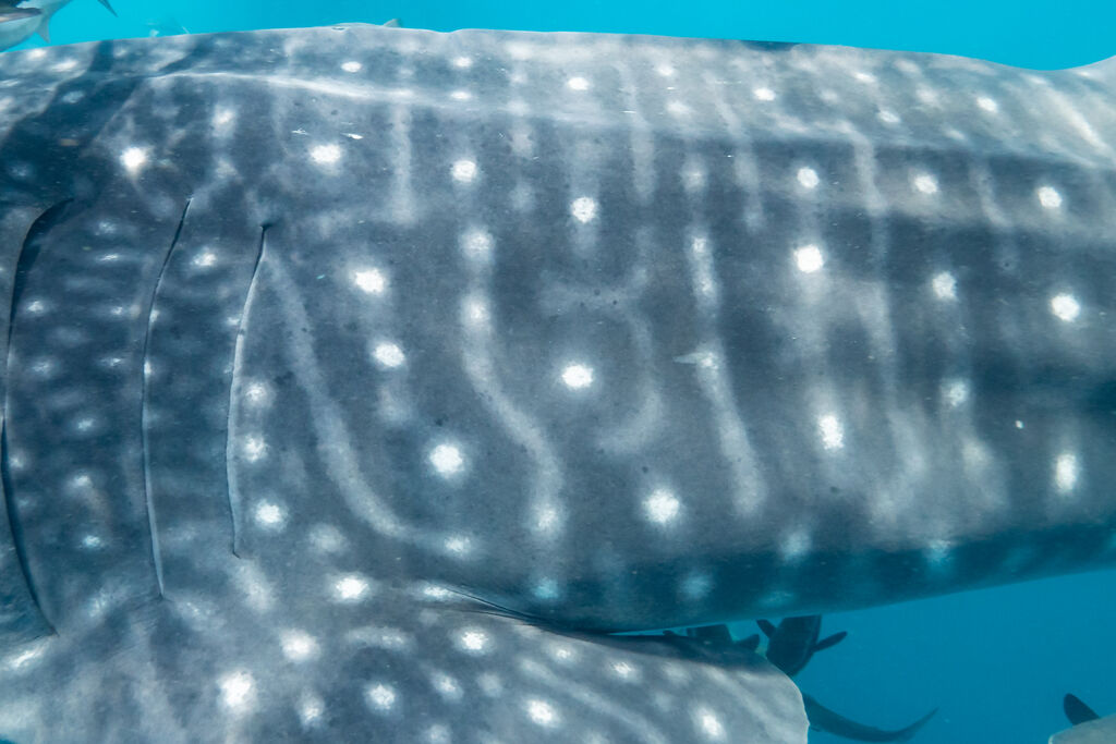 eab0060c-b23f-41d4-a070-093cd6c3f29f