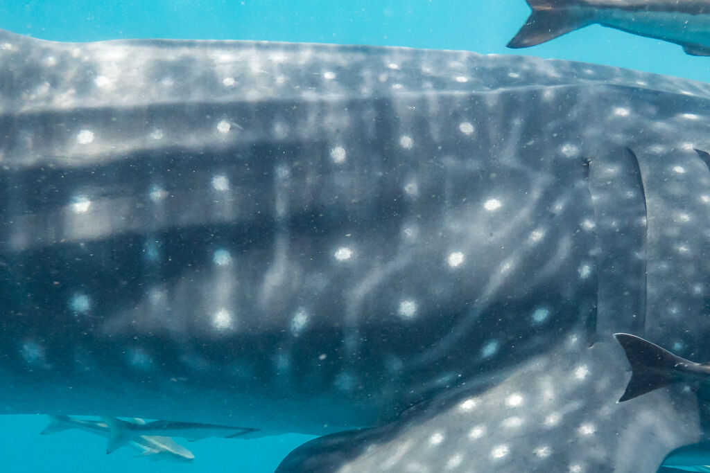 eab0060c-b23f-41d4-a070-093cd6c3f29f