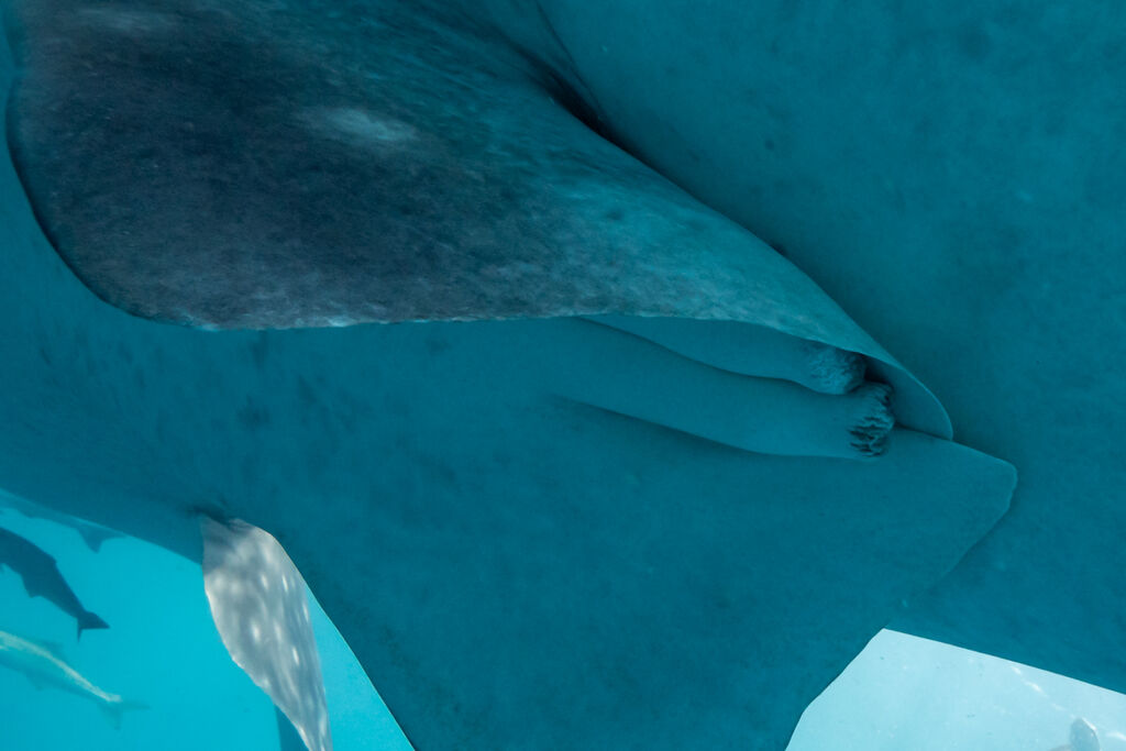 eab0060c-b23f-41d4-a070-093cd6c3f29f