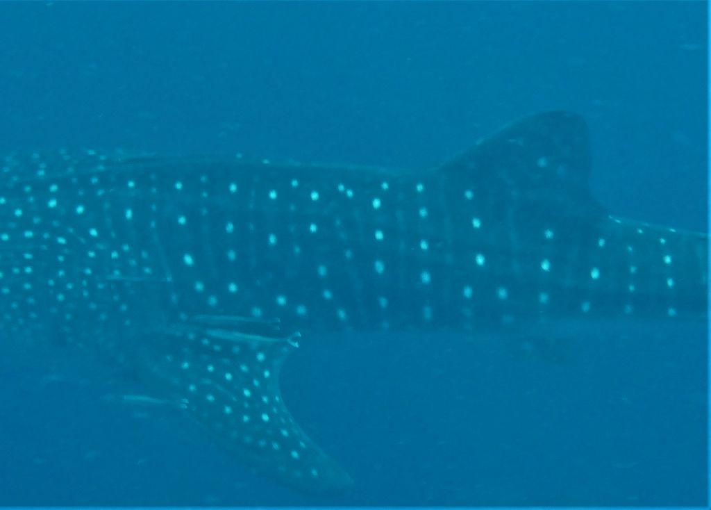 50cfb307-0c37-4654-ac6f-5b4af2658127