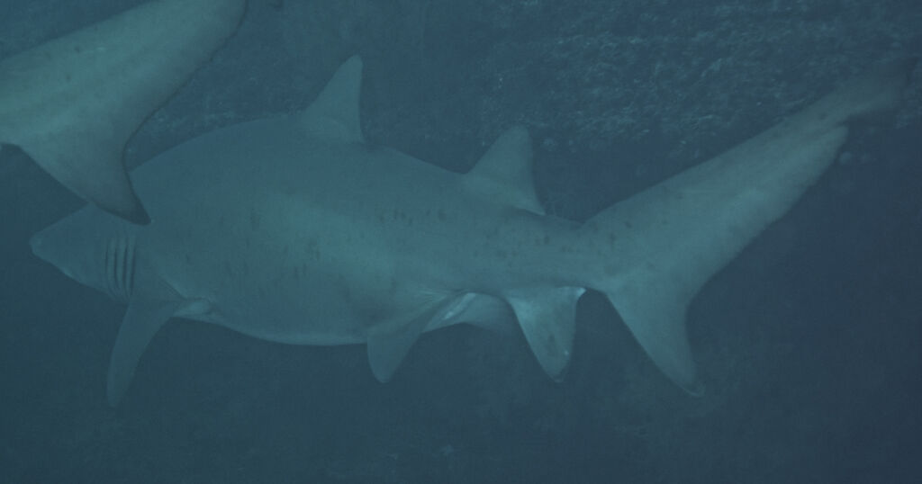 891c6220-3bbc-4da0-a853-a42f8d214e2c