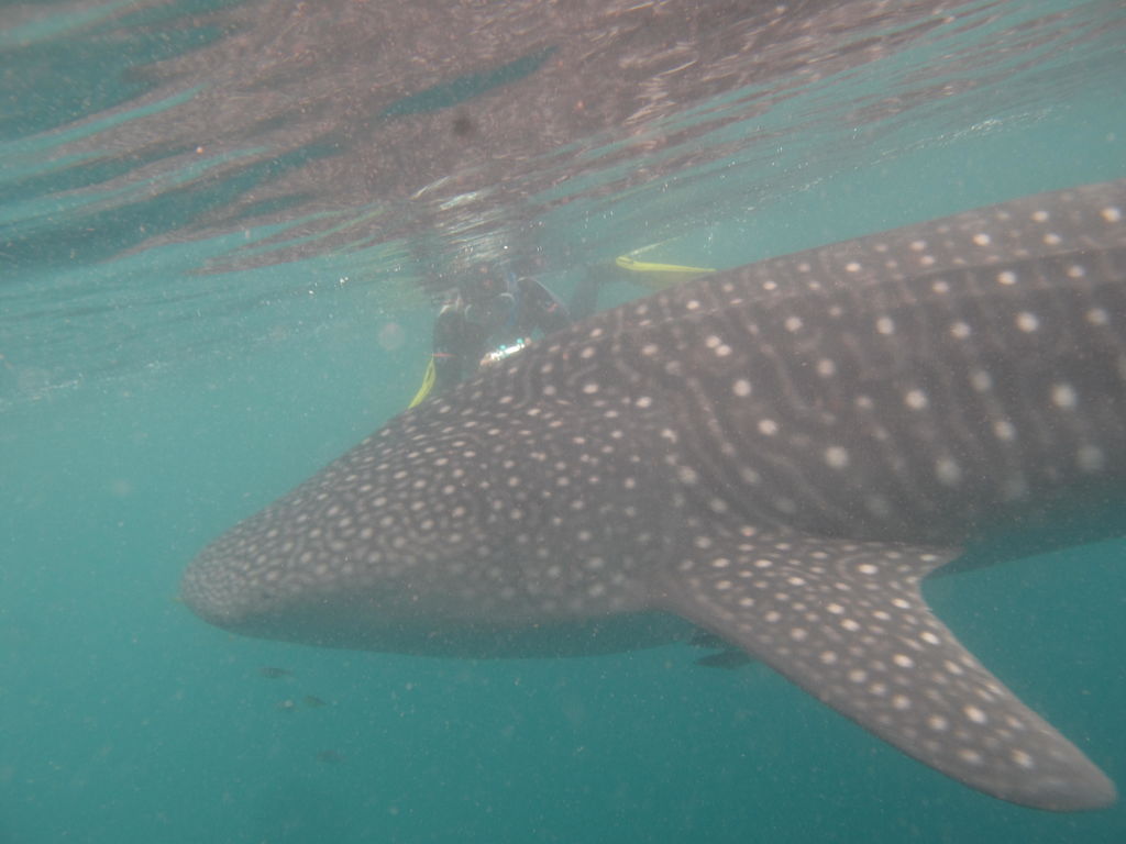 c0448362-fd54-49e5-b6d8-9b4a3ae682e1