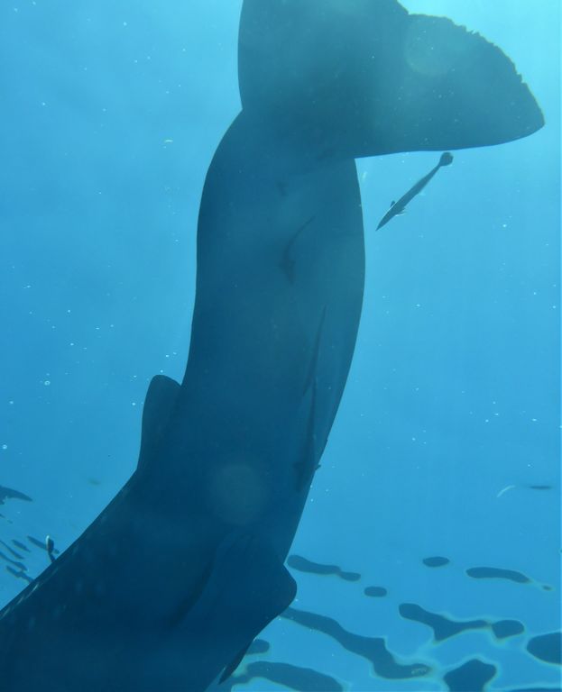 ab944f6b-1c5f-4d50-83f1-75d7a81153b4