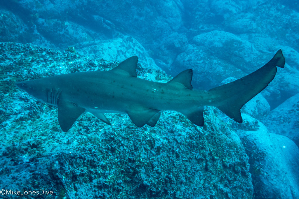 bdb7f444-c356-4c8a-8bb0-22a757e14dd9