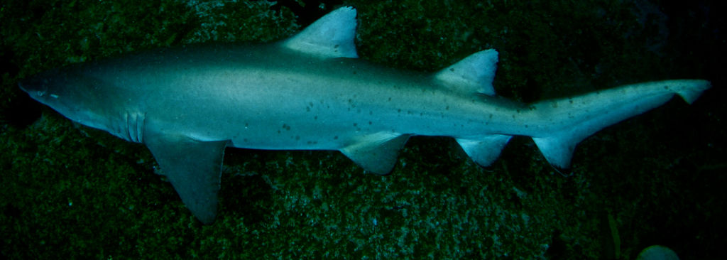 3f8923f8-7774-4b2d-9bd1-97d9a8cd635e