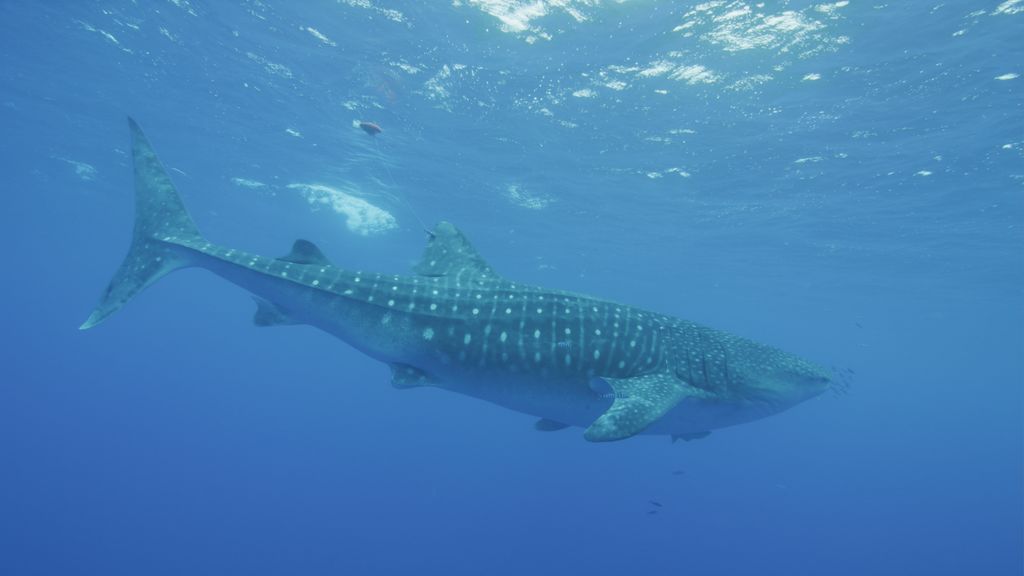 a046e8a9-e5bc-468b-b4cd-a2cd84561fcd