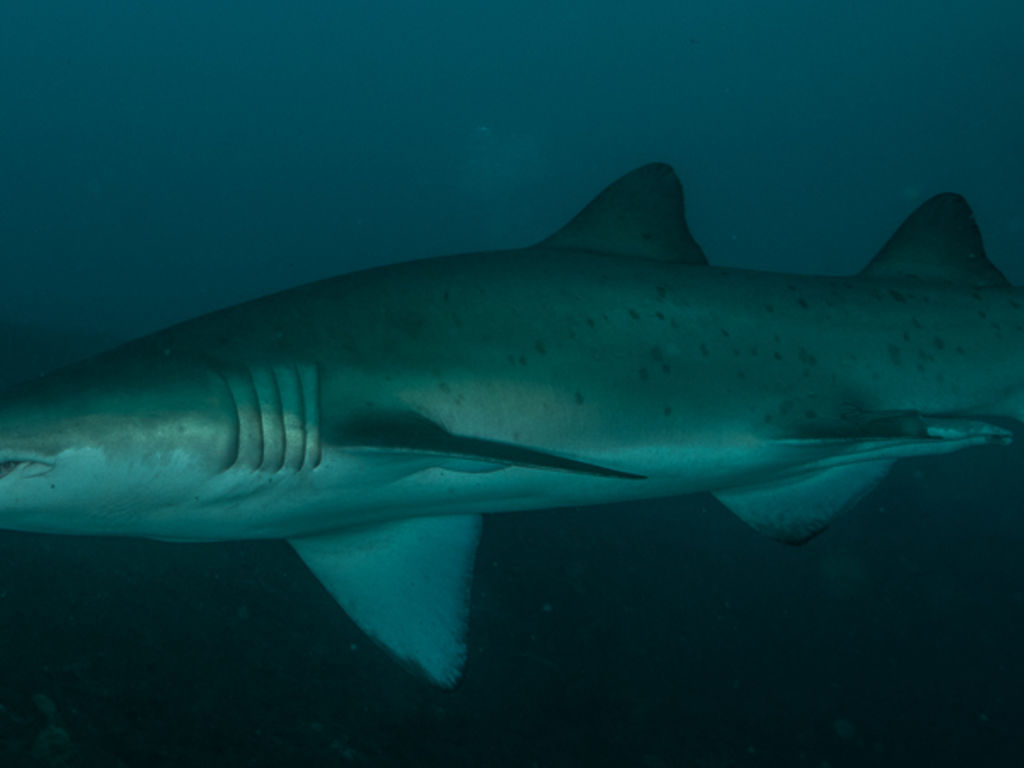 b08cb137-c05d-4e5c-8081-cd8e1c73873d