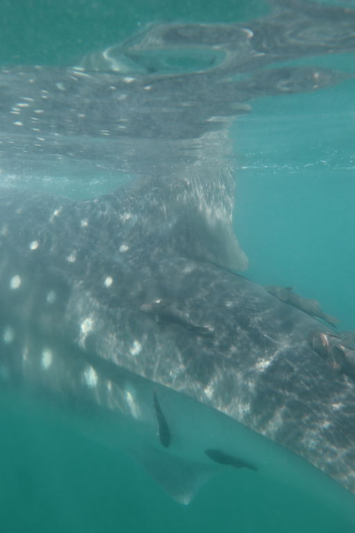 5a7a810b-5026-40a6-a5f8-0881163a652b