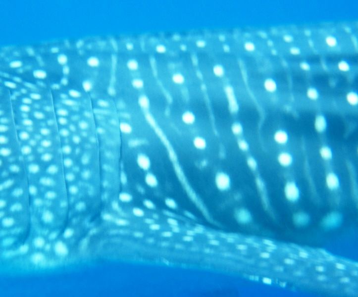 e6f2c3c1-3a6e-4105-9ee1-74604aed33dd