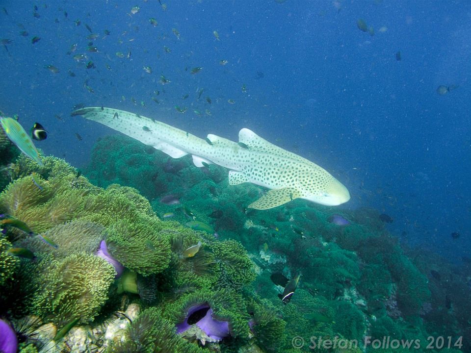 689166fd-3d9f-4cdd-8881-29aa2cd177ed