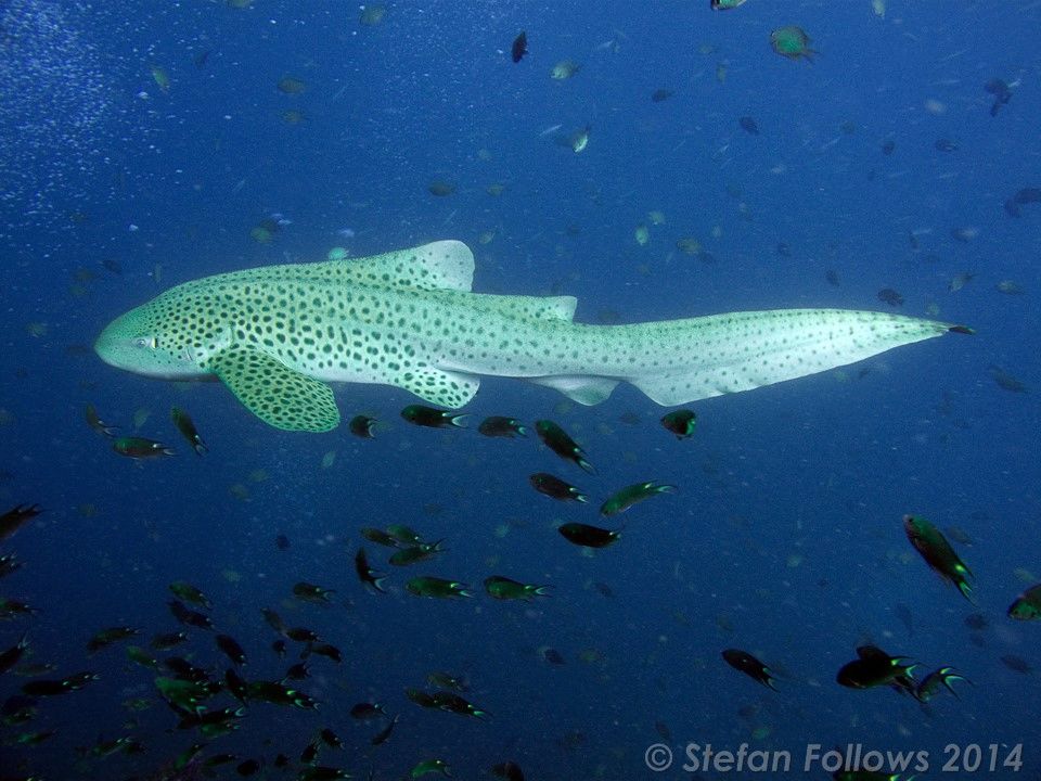 689166fd-3d9f-4cdd-8881-29aa2cd177ed