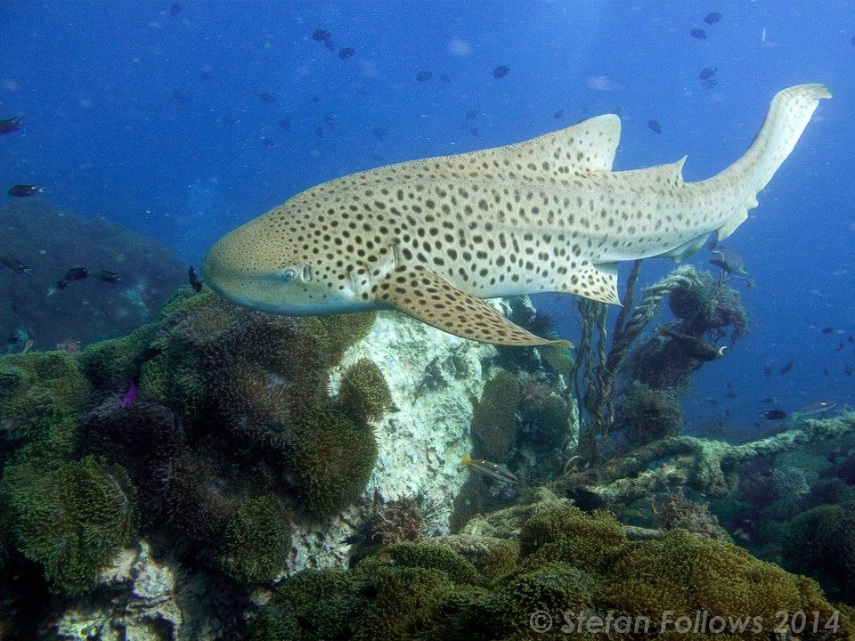 689166fd-3d9f-4cdd-8881-29aa2cd177ed